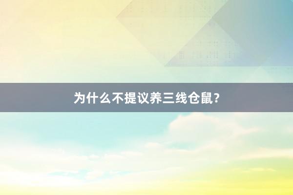 为什么不提议养三线仓鼠？